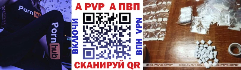 площадка клад  мега tor  Терек  Alpha PVP СК 