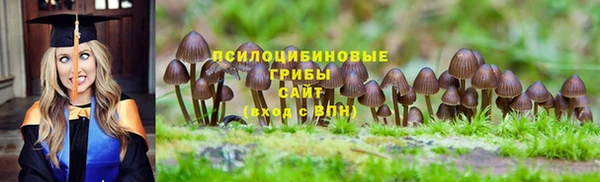 спайс Абинск