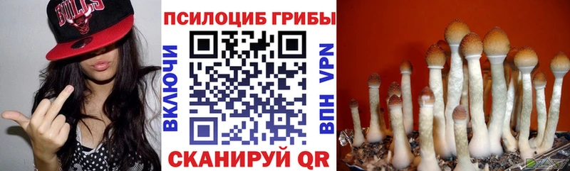 Псилоцибиновые грибы Magic Shrooms  hydra зеркало  Терек 